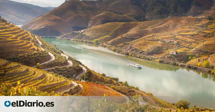 El valle del Douro en otoño: terrazas, vino y paisajes de postal