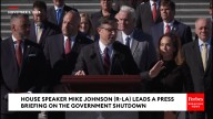 'Wait, wait, wait!' Mike Johnson hushes MAGA lawmaker shouting at disruptor