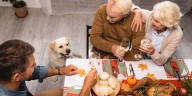 Don’t poison your pet: Thanksgiving foods toxic to feed dogs