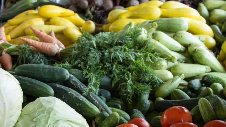 Palm Springs Subaru partners with local nonprofits to Share the Love