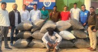 296-kg doda post worth Rs 30 lakh seized in Kaithal, one held