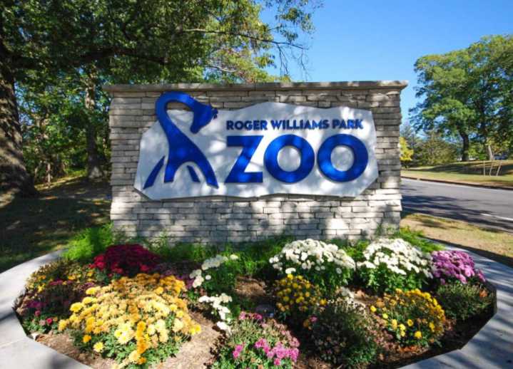 Roger Williams Park Zoo to host food trucks, offer half off admission to U.S. military and veterans