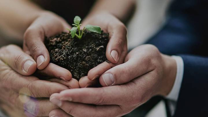 Morena pide más incentivos fiscales para empresas que reduzcan su impacto ambiental