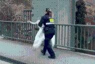 VIDEO: Officer tackles gigantic, 'hissing' swan seen waddling in and out of traffic