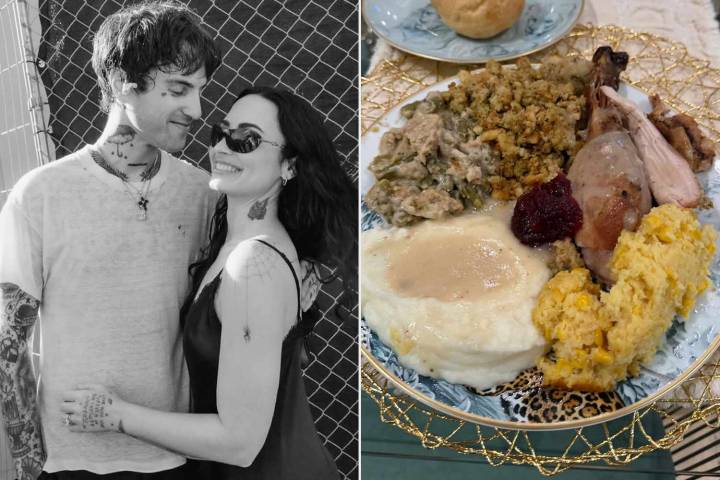 Demi Lovato Shows Off Thanksgiving Meal She Made 'From Scratch'