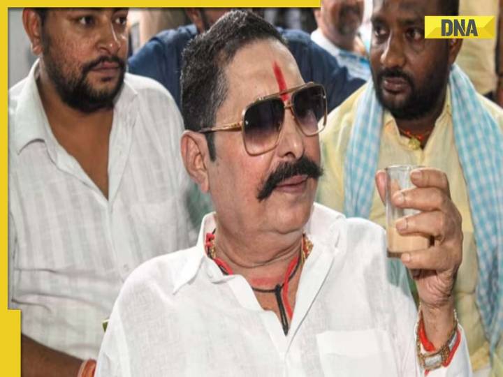 Bihar Elections 2025: Who is Anant Singh? JD(U) candidate, aka 'Chhote Sarkaar'