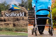 Justice Department Investigates SeaWorld's Parent Company for Alleged Civil Rights Violations