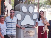 Manzanillo destina 5 MdP para construcción del Centro del Bienestar Animal