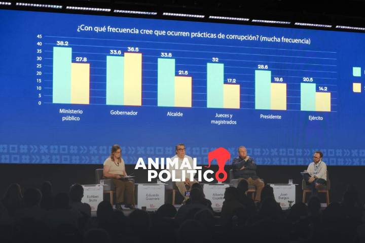 “Se ve al crimen como algo natural”: México no aspira a seguridad sin pacto social, dicen expertos