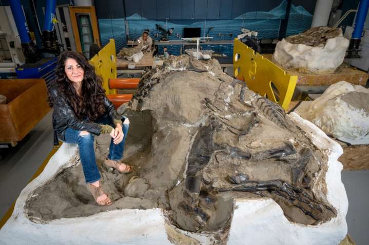 Young T. rex or a new dinosaur? New bones add to the debate