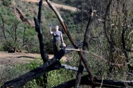 ‘We got a little of ourselves back,’ visitors declare as Will Rogers park reopens months after fire