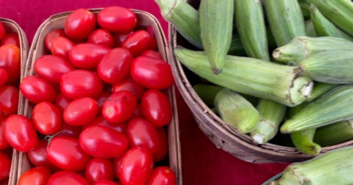 Local businesses impacted by SNAP benefits reduction