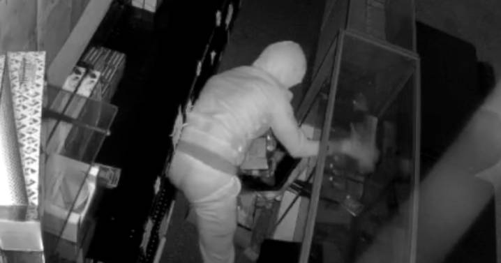 Thief steals over $10,000 worth of Pokémon cards from small business in San Diego