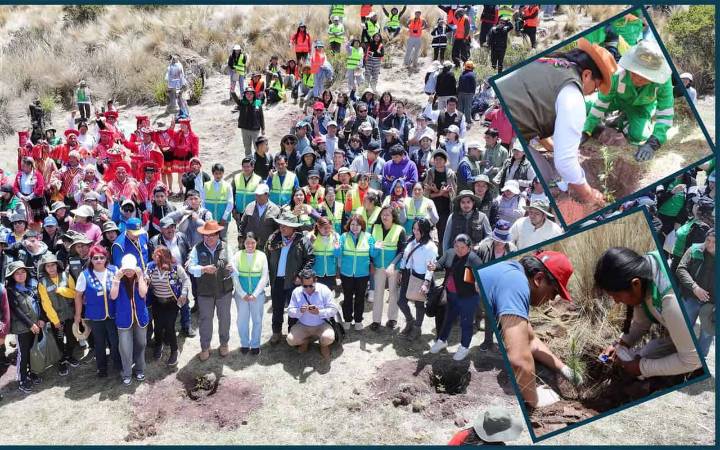 Rumbo al millón de árboles