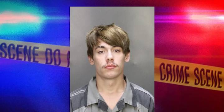 Man who beat, kicked and choked a dog placed on deferred probation