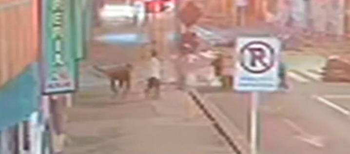 Así fue la brutal agresión que causó la muerte de estudiante de Universidad de Los Andes