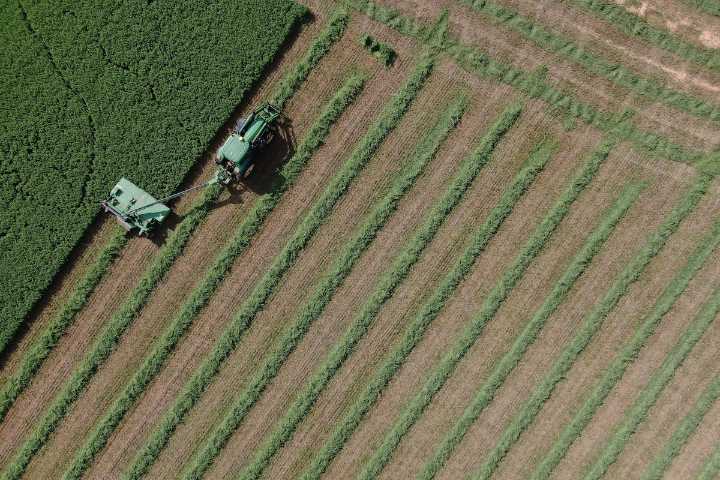 From tractors to ChatGPT: Lessons from agriculture on how AI will transform work