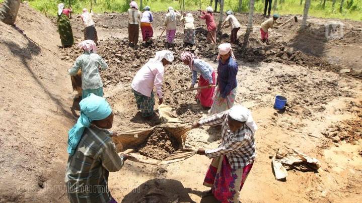 MGNREGA database sees sudden spike in deletions: 27 lakh workers wiped out in one month