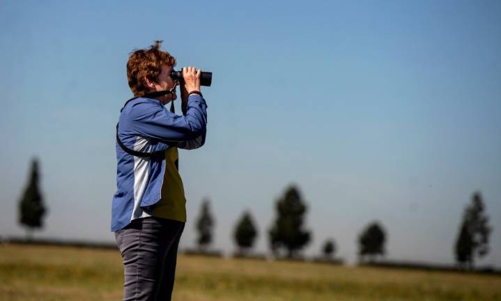 Pomona Valley Bird Alliance is new name of former Pomona Valley Audubon Society