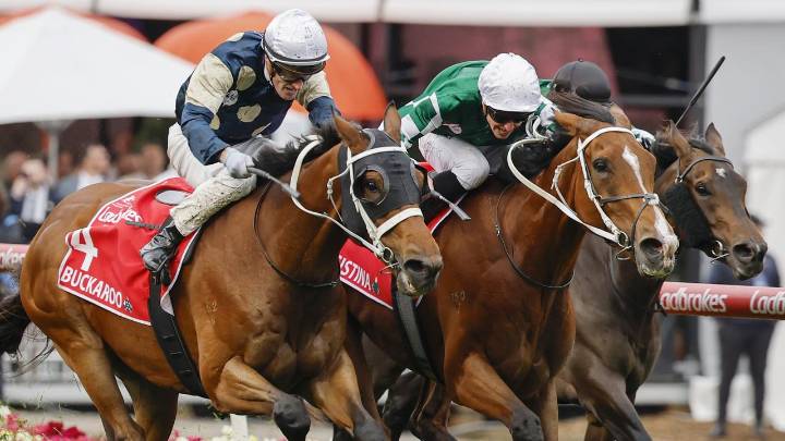 Melbourne Cup 2025 final field, order of entry, horses, when are final declarations, barrier draw, weights, will Buckaroo run, who is the favourite