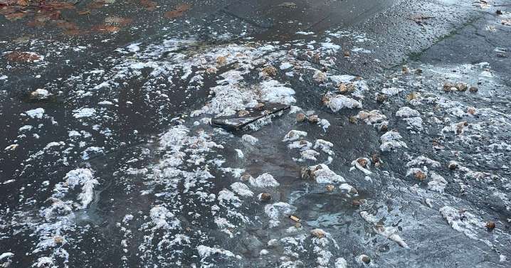 'Jobby geyser' on Glasgow street as burst sewer spews human waste