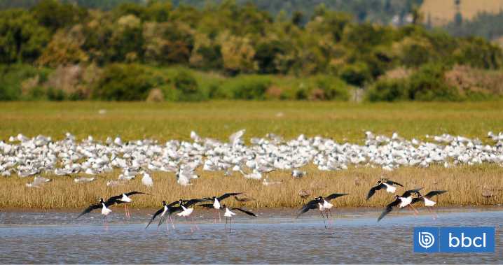 Medioambiente suspende sitios prioritarios tras presión empresarial y gremios celebran decisión
