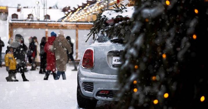 Research reveals joys and jolts of holiday road trips