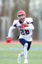 Oneonta vs. Chenango Forks: Watch NY Section 4 high school football championship live