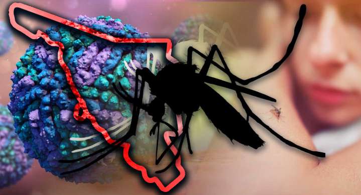 Sonora acumula 2 mil 5 casos de dengue en 2025, cinco veces más que en 2024; autoridades informan cero defunciones