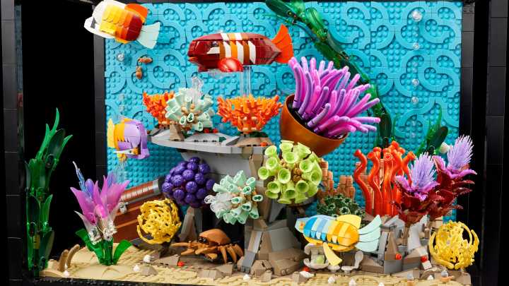 LEGO Icons Tropical Aquarium Building Set to release soon. See price.