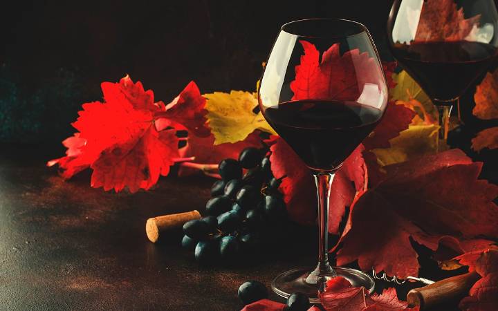 Willamette Valley Pinot Noir and Thanksgiving Dinner