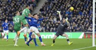 Everton 1 Newcastle United 4: Magpies win at Hill Dickinson Stadium