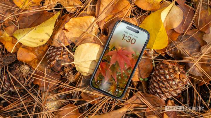 Wallpaper Wednesday: More great phone wallpapers for all to share (November 19)