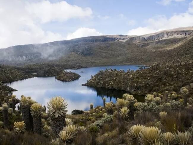 El Parque Nacional Natural Los Nevados anuncia cierre temporal: fechas y razones de la medida -