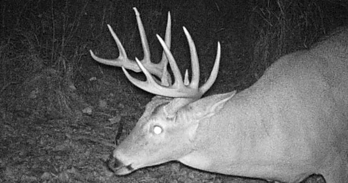 Our Outdoors: A Season of Senses