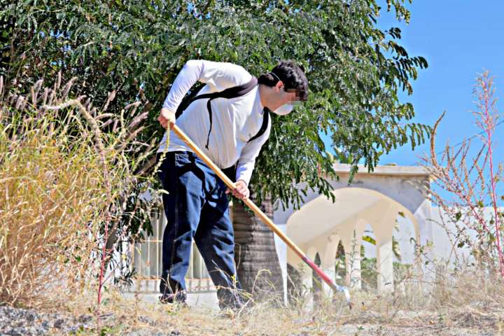 En menos de un día se cubrieron 200 vacantes del programa de Empleo Temporal, en Los Cabos 