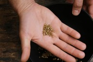 Procuraduría urge medidas para mitigar comercialización ilegal de oro