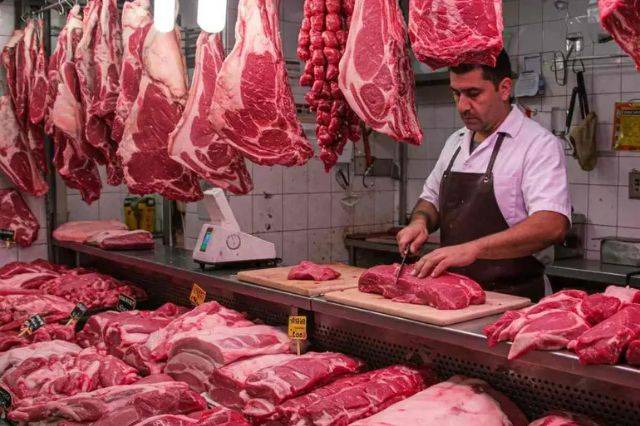 Ganado bovino y porcino caen en 2025; sector avícola mantiene avance