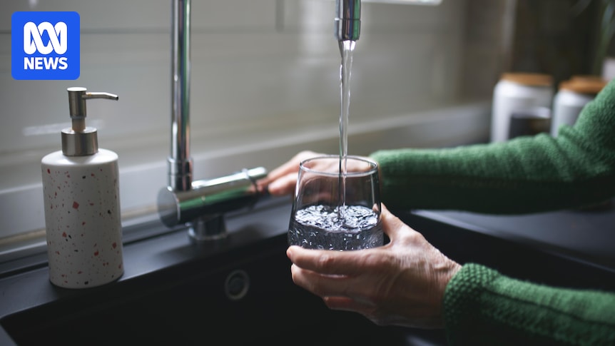 What exactly is fluoride, and why is it added to our tap water?