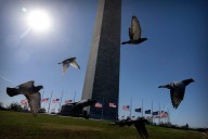 All government shutdowns disrupt science