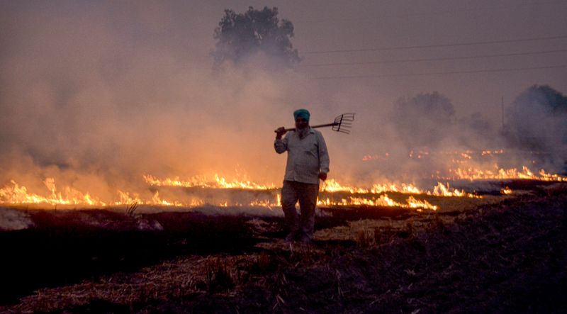Muktsar tops Punjab in farm fires as state reports 312 new incidents