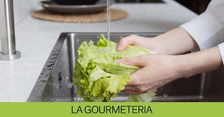 ¿Por qué hay que lavar la ensalada que viene envasada?