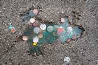 Nutty New Twist in Origin of Viral ‘Rat Hole,’ Researchers Say