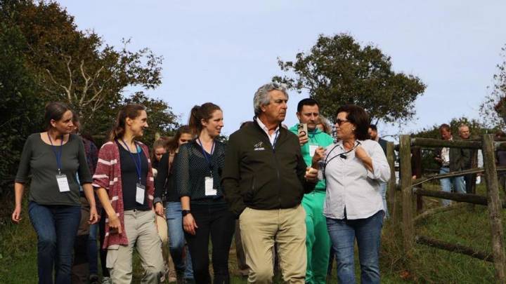 Europa tiene un ejemplo de la cría equina deportiva en Gozón: así es la ganadería que apuesta por las "madres, por las yeguas"