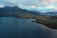 Estudio alerta: Producción salmonera crece 7 veces más rápido en áreas protegidas que en zonas sin protección