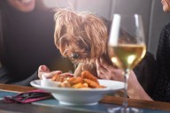 Mother Disappointed at Restaurant's Reaction to Son’s Injury