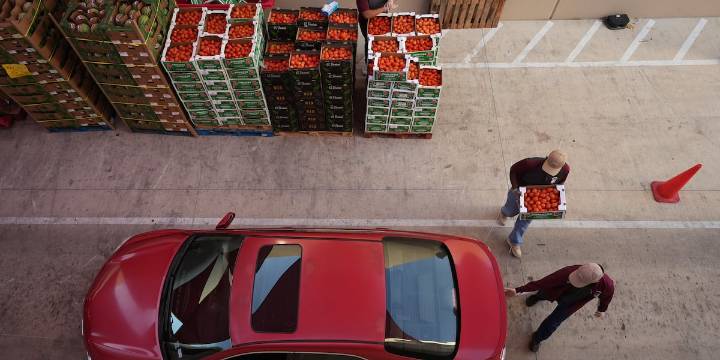 Federal judge orders Trump administration to fully fund SNAP benefits in November