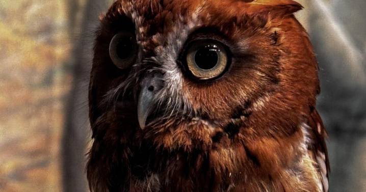 7th Grader from Jonesboro wins first place in national K12 art competition