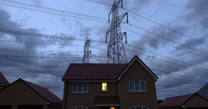 Free electricity on Christmas Day with energy supplier's eight