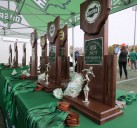 OHSAA state cross country: Which Northeast Ohio runners earned All